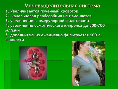 Адаптационные изменения в организме