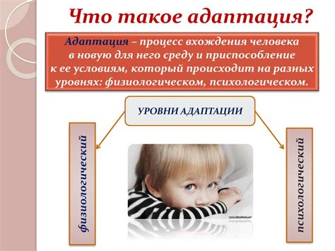 Адаптация