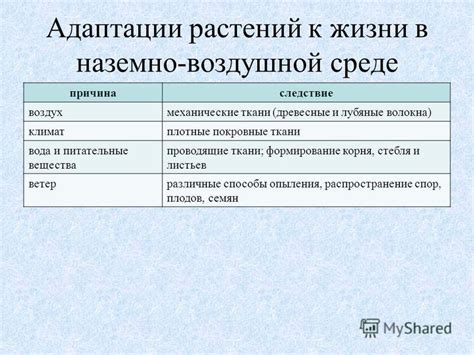 Адаптация к влажности