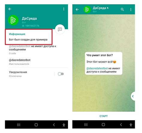 Активация бота для био в Телеграмме