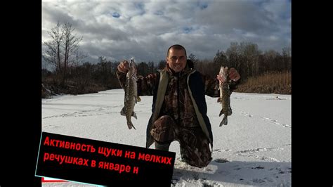 Активность щуки зимой