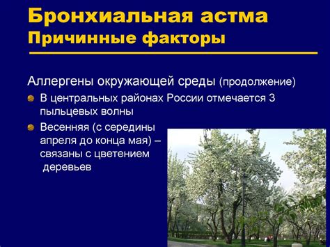 Аллергены в окружающей среде, вызывающие аллергию у котов