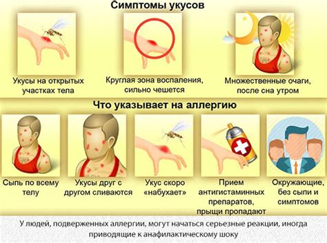 Аллергическая реакция на слюну комара