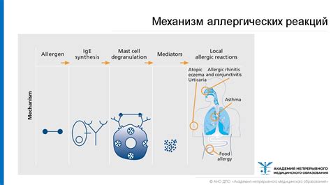 Аллергические реакции и реакции на стресс