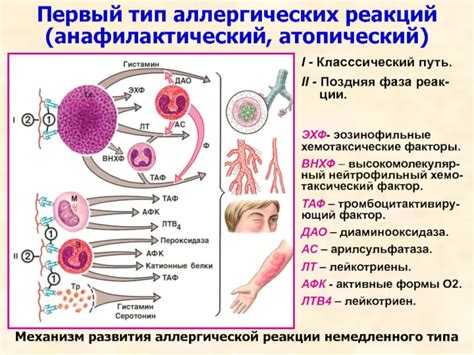 Аллергические реакции как основная причина залысин