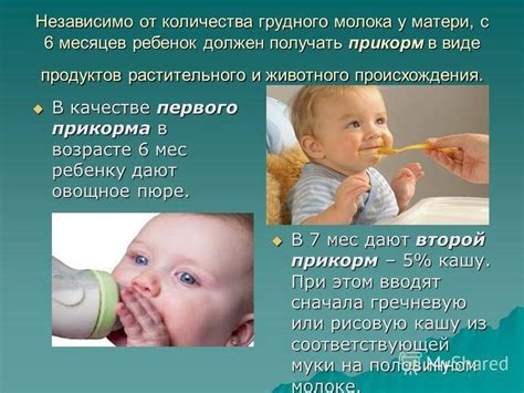 Аллергия на коровье молоко у кошек