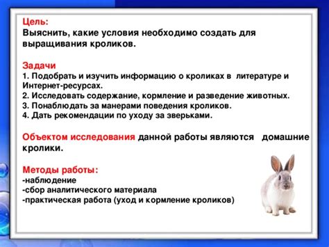 Альтернативные методы исследования кроликов без потенциальных рисков