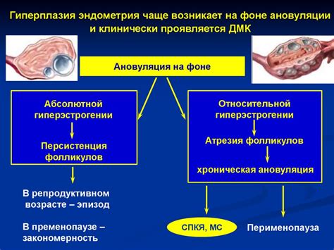 Альтернативные причины кровотечения: дополнительные факторы исключения