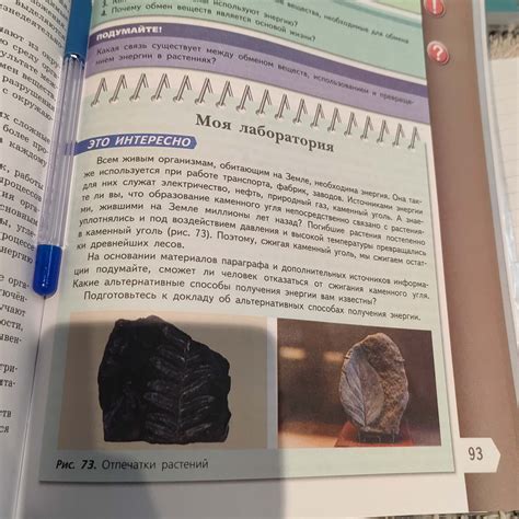 Альтернативные способы получения статистики