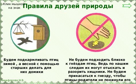 Анализ поведения родька и его отношение к гнезду