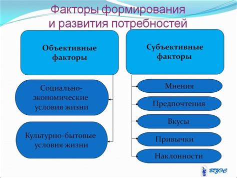 Анализ потребностей и создание стратегии развития