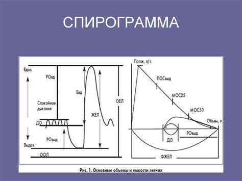 Анализ спирограммы в стандартных условиях