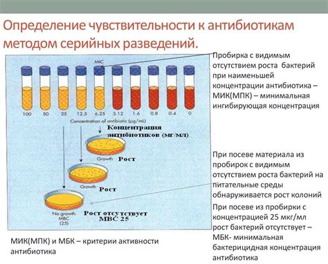 Анализ чувствительности к антибиотикам: подготовка и процесс
