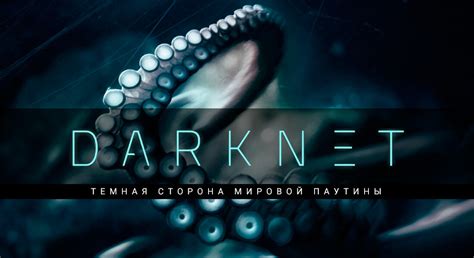 Анонимность в даркнете: как не раскрыть свою личность