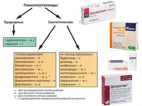 Антибиотики и противовоспалительные препараты