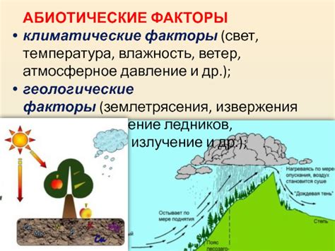 Антропогенные факторы и атмосферное давление