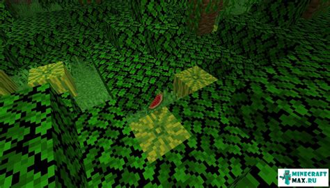 Арбуз в Minecraft: почему он не растет и как это исправить