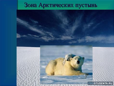 Арктическая фауна и флора: влияние на работу