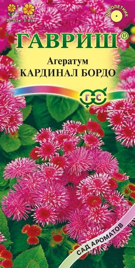 Армия - сила и кардинал для успеха
