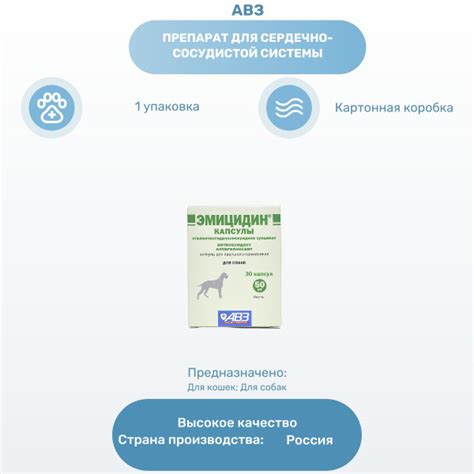 Аскорбинка как антиоксидант для собак
