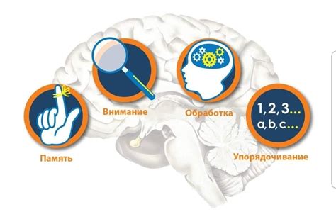Аутизм: мифы и реальность