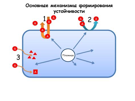 Базовый механизм