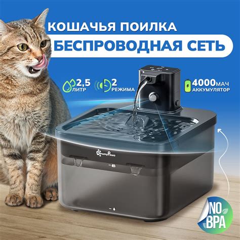 Батареи и комфорт кошек