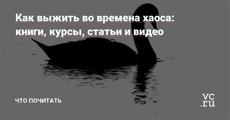 Беглые взгляды во времена миамичного хаоса