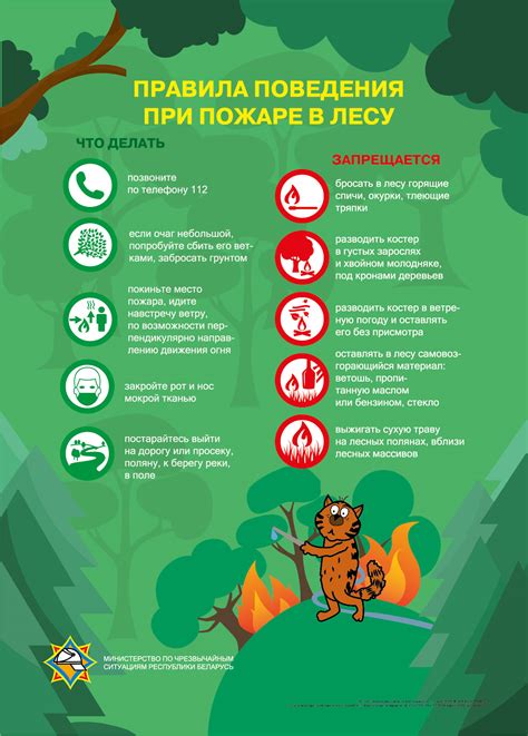 Безопасность использования навигатора в лесу