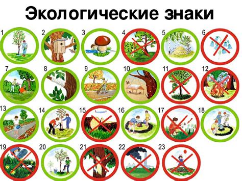 Безопасность и уход за природой