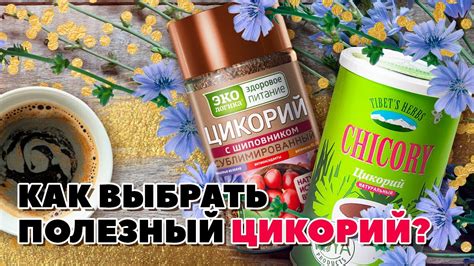 Безопасный и полезный напиток: цикорий без молока