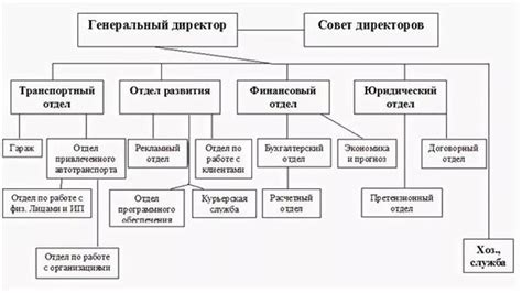Безоплатная работа для директора: особенности и цели