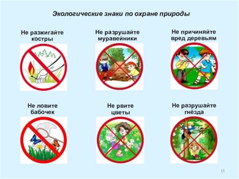 Береги окружающую среду – будь ответственным гражданином