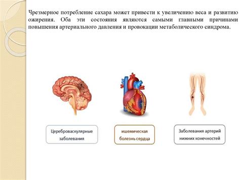 Биологические механизмы влияния на организм
