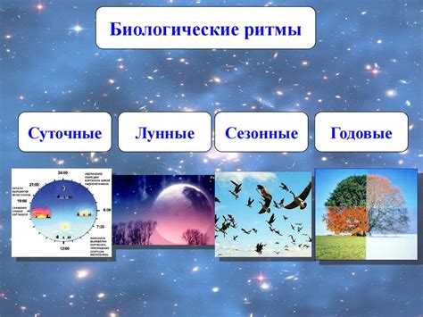 Биологические основы и сны о измене