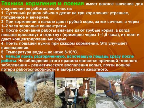 Биологические особенности 6 класса