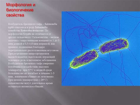 Биологические свойства лена кукушки