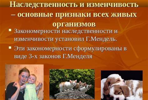 Биологические факторы и гормональные изменения в организме мальчиков