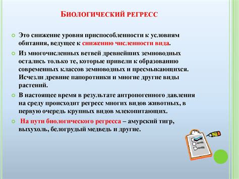 Биологический процесс утреннего аппетита
