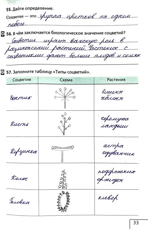Биологическое значение водоотталкивающих перьев