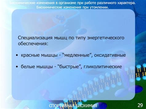 Биохимические изменения в организме, вызывающие сонливость