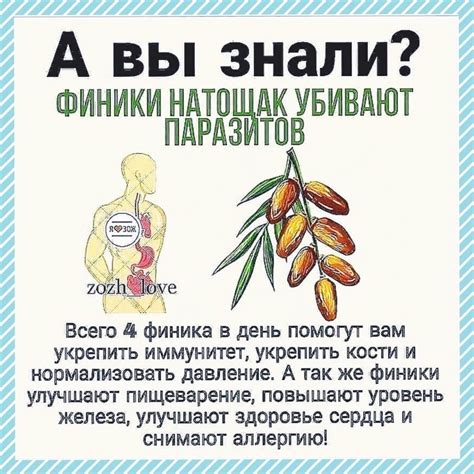 Богатство минералами
