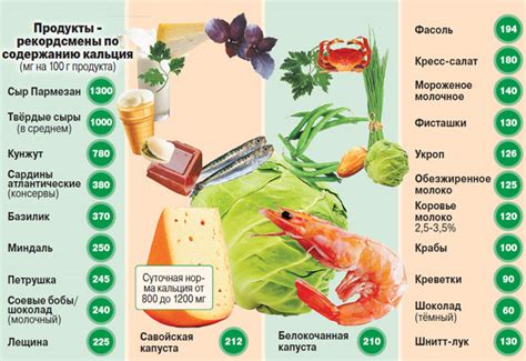 Богатые кальцием продукты питания