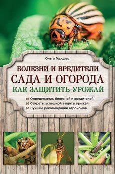 Болезни и вредители: как защитить женское счастье от заболеваний