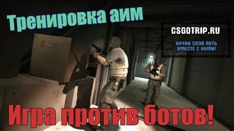 Борьба с ботами в КС: основные проблемы и решения