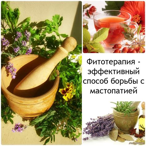 Борьба с зеленью при помощи народных средств