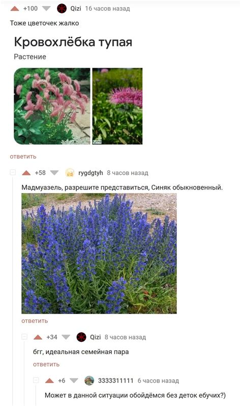 Ботаническое объяснение