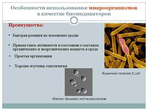 Быстрая реакция на возгорание