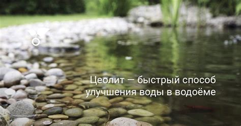 Быстрый и бесплатный способ отключения
