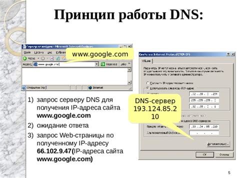 Быстрый поиск DNS по IP адресу